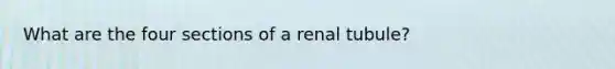 What are the four sections of a renal tubule?