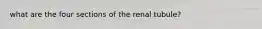 what are the four sections of the renal tubule?
