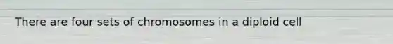 There are four sets of chromosomes in a diploid cell