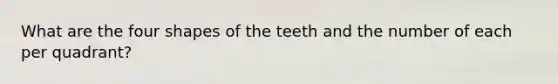 What are the four shapes of the teeth and the number of each per quadrant?