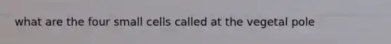 what are the four small cells called at the vegetal pole