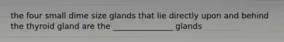 the four small dime size glands that lie directly upon and behind the thyroid gland are the _______________ glands
