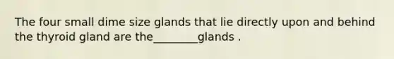 The four small dime size glands that lie directly upon and behind the thyroid gland are the________glands .