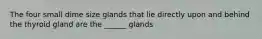 The four small dime size glands that lie directly upon and behind the thyroid gland are the ______ glands