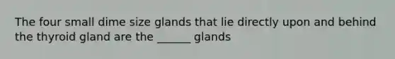 The four small dime size glands that lie directly upon and behind the thyroid gland are the ______ glands