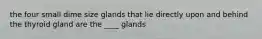 the four small dime size glands that lie directly upon and behind the thyroid gland are the ____ glands