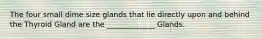 The four small dime size glands that lie directly upon and behind the Thyroid Gland are the _____________ Glands.