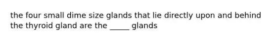 the four small dime size glands that lie directly upon and behind the thyroid gland are the _____ glands