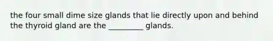 the four small dime size glands that lie directly upon and behind the thyroid gland are the _________ glands.