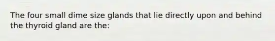 The four small dime size glands that lie directly upon and behind the thyroid gland are the: