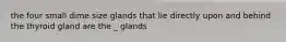 the four small dime size glands that lie directly upon and behind the thyroid gland are the _ glands