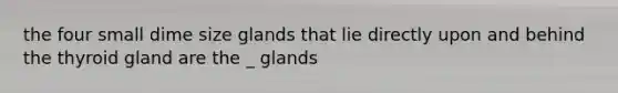 the four small dime size glands that lie directly upon and behind the thyroid gland are the _ glands