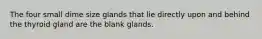 The four small dime size glands that lie directly upon and behind the thyroid gland are the blank glands.