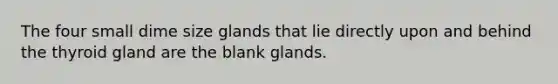 The four small dime size glands that lie directly upon and behind the thyroid gland are the blank glands.