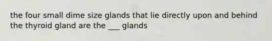 the four small dime size glands that lie directly upon and behind the thyroid gland are the ___ glands