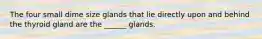 The four small dime size glands that lie directly upon and behind the thyroid gland are the ______ glands.