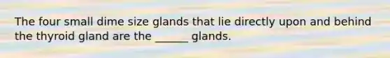 The four small dime size glands that lie directly upon and behind the thyroid gland are the ______ glands.