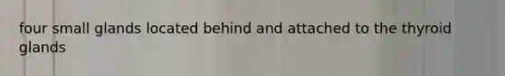 four small glands located behind and attached to the thyroid glands