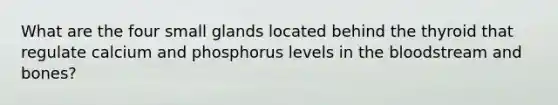 What are the four small glands located behind the thyroid that regulate calcium and phosphorus levels in the bloodstream and bones?