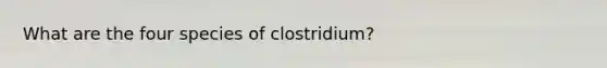 What are the four species of clostridium?