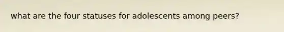 what are the four statuses for adolescents among peers?