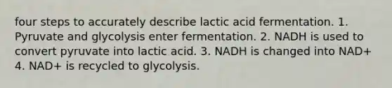 four steps to accurately describe lactic acid fermentation. 1. Pyruvate and glycolysis enter fermentation. 2. NADH is used to convert pyruvate into lactic acid. 3. NADH is changed into NAD+ 4. NAD+ is recycled to glycolysis.