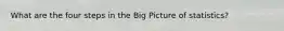 What are the four steps in the Big Picture of statistics?