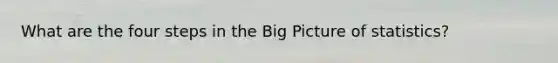 What are the four steps in the Big Picture of statistics?