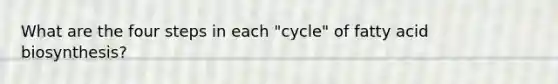 What are the four steps in each "cycle" of fatty acid biosynthesis?