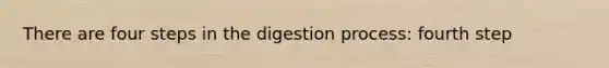 There are four steps in the digestion process: fourth step