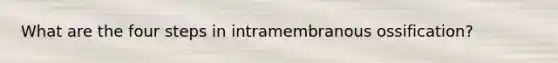 What are the four steps in intramembranous ossification?