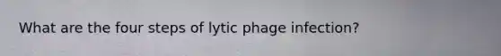 What are the four steps of lytic phage infection?