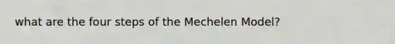 what are the four steps of the Mechelen Model?