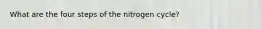 What are the four steps of the nitrogen cycle?