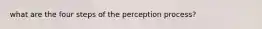 what are the four steps of the perception process?