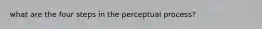 what are the four steps in the perceptual process?