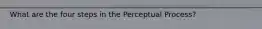 What are the four steps in the Perceptual Process?