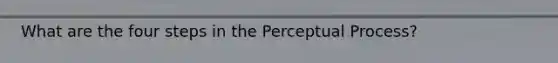 What are the four steps in the Perceptual Process?