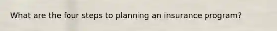 What are the four steps to planning an insurance program?
