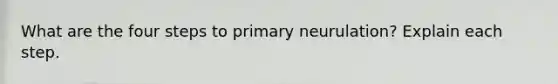 What are the four steps to primary neurulation? Explain each step.