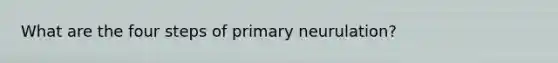 What are the four steps of primary neurulation?