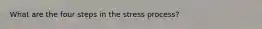 What are the four steps in the stress process?