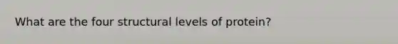 What are the four structural levels of protein?