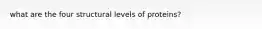 what are the four structural levels of proteins?