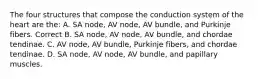 The four structures that compose the conduction system of the heart are the: A. SA node, AV node, AV bundle, and Purkinje fibers. Correct B. SA node, AV node, AV bundle, and chordae tendinae. C. AV node, AV bundle, Purkinje fibers, and chordae tendinae. D. SA node, AV node, AV bundle, and papillary muscles.