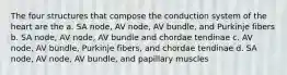 The four structures that compose the conduction system of the heart are the a. SA node, AV node, AV bundle, and Purkinje fibers b. SA node, AV node, AV bundle and chordae tendinae c. AV node, AV bundle, Purkinje fibers, and chordae tendinae d. SA node, AV node, AV bundle, and papillary muscles