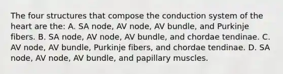 The four structures that compose the conduction system of the heart are the: A. SA node, AV node, AV bundle, and Purkinje fibers. B. SA node, AV node, AV bundle, and chordae tendinae. C. AV node, AV bundle, Purkinje fibers, and chordae tendinae. D. SA node, AV node, AV bundle, and papillary muscles.