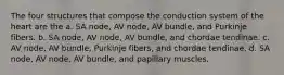 The four structures that compose the conduction system of the heart are the a. SA node, AV node, AV bundle, and Purkinje fibers. b. SA node, AV node, AV bundle, and chordae tendinae. c. AV node, AV bundle, Purkinje fibers, and chordae tendinae. d. SA node, AV node, AV bundle, and papillary muscles.