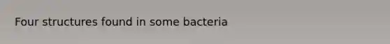 Four structures found in some bacteria