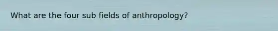 What are the four sub fields of anthropology?